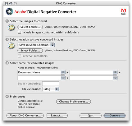 DNG1 - Dijital Negatif: DNG Format