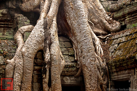 IMG 7734.uv  - Angkor Tapınakları