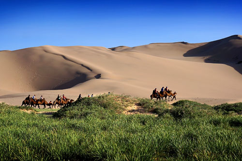 DSC01604 - Moğolistan'a Yolculuk