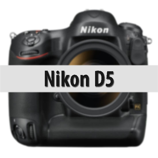 d5 - Nikon D5 Çıkıyor!