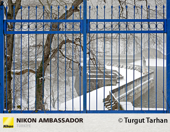 TTT 4630 1 - Doğa ve kentsel peyzajın ustası: Turgut Tarhan