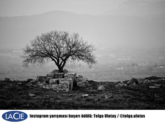 basari tolgaulutas - LaCie Türkiye Instagram fotoğraf yarışması sonuçlandı