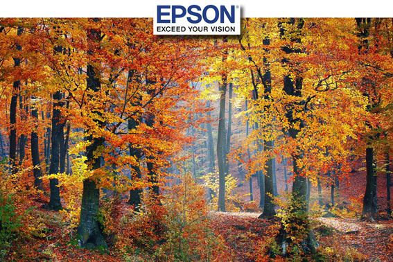 epsongrs - Epson ile Sonbaharın Renklerini Yakala